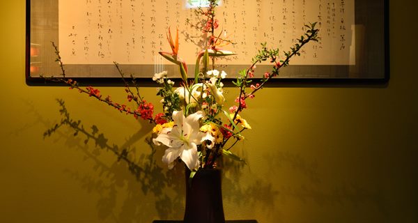 大阪屋スペシャルプラン【HP限定】